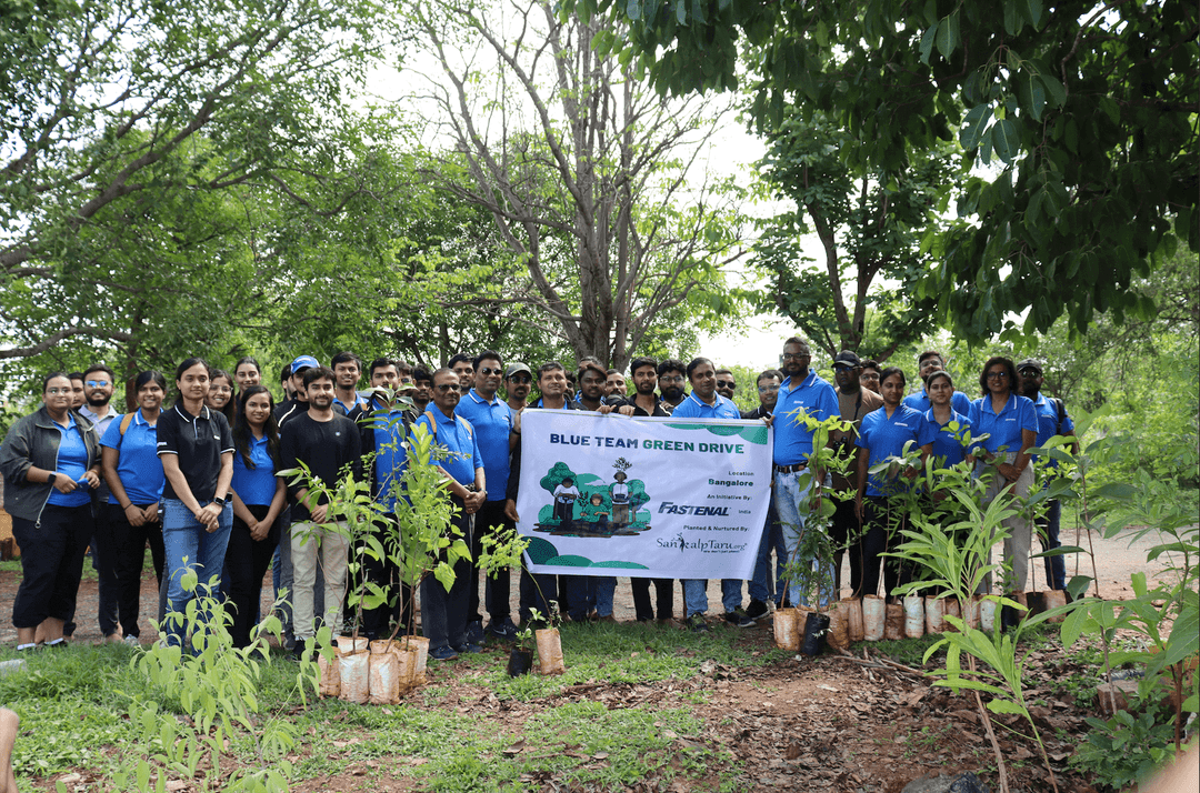 Tree plantation